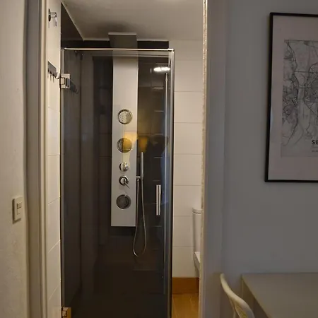 Apartment Estudio Setas I Seville