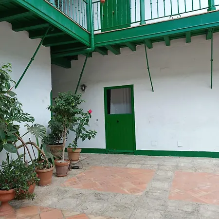 Estudio Setas I Apartment